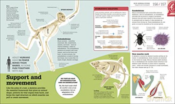 How Biology Works - Dk [KSIĄŻKA]