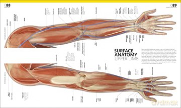 Complete Human Body - Alice Roberts [KSIĄŻKA]