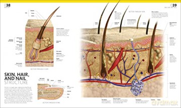 Complete Human Body - Alice Roberts [KSIĄŻKA]