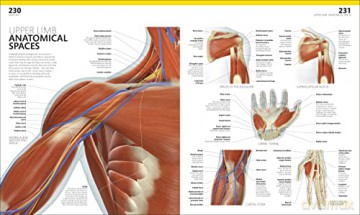 Complete Human Body - Alice Roberts [KSIĄŻKA]