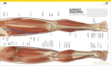 Complete Human Body - Alice Roberts [KSIĄŻKA]