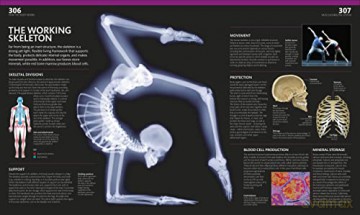 Complete Human Body - Alice Roberts [KSIĄŻKA]