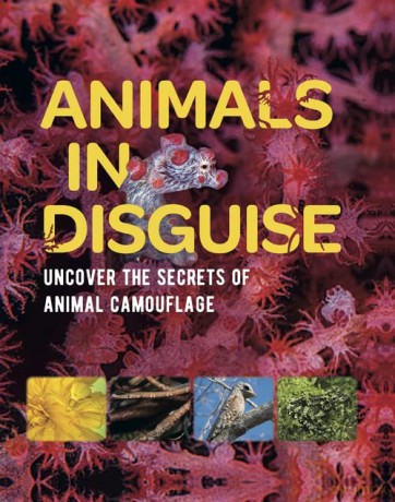 Animals In Disguise - Michael Bright [KSIĄŻKA]