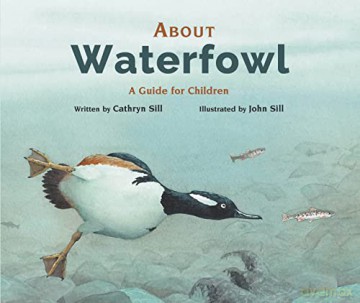 About Waterfowl - Cathryn Sill [KSIĄŻKA]