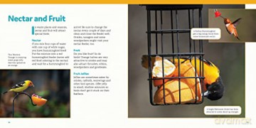 How To Feed Backyard Birds - Chris Earley [KSIĄŻKA]