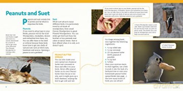 How To Feed Backyard Birds - Chris Earley [KSIĄŻKA]