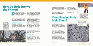 How To Feed Backyard Birds - Chris Earley [KSIĄŻKA]