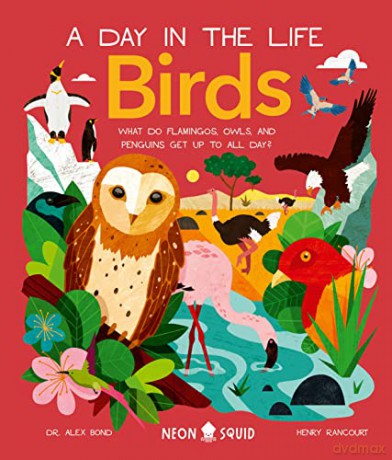 Birds A Day In The Life - Dr Bond [KSIĄŻKA]