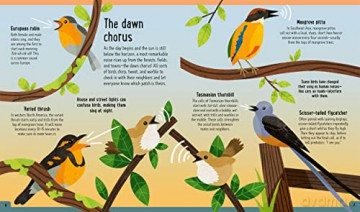 Birds A Day In The Life - Dr Bond [KSIĄŻKA]