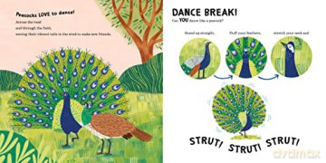 Can You Dance Like A Peacock - Rekha Rajan [KSIĄŻKA]
