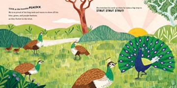 Can You Dance Like A Peacock - Rekha Rajan [KSIĄŻKA]