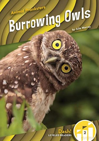 Burrowing Owls - Julie Murray [KSIĄŻKA]