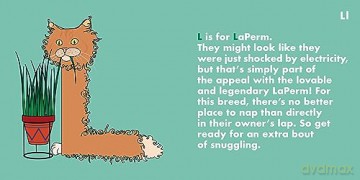 Cat Alphabet - Beck Feiner [KSIĄŻKA]