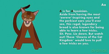 Cat Alphabet - Beck Feiner [KSIĄŻKA]