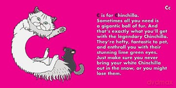 Cat Alphabet - Beck Feiner [KSIĄŻKA]