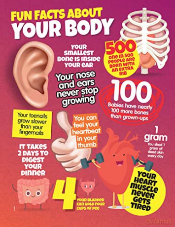 Human Body - Happy Fox Books (Ed) [KSIĄŻKA]