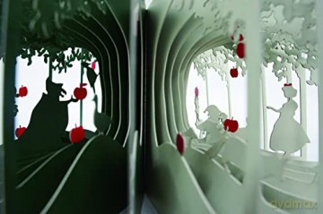 360 Book Snow White - Yusuke Oono [KSIĄŻKA]