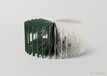 360 Book Snow White - Yusuke Oono [KSIĄŻKA]