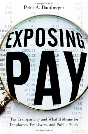 Exposing Pay [KSIĄŻKA]