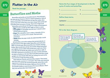 Brain Quest Workbook 3rd Grade Revise [KSIĄŻKA]