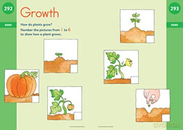 Brain Quest Workbook Kindergarten Rev [KSIĄŻKA]