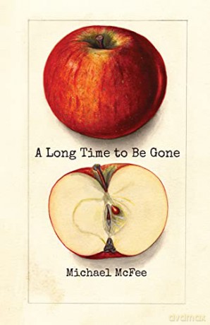 A Long Time To Be Gone - Michael Mcfee [KSIĄŻKA]