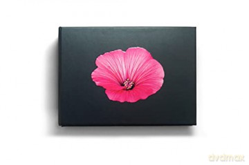 The Blooming Book - Nicolas M Riel [KSIĄŻKA]
