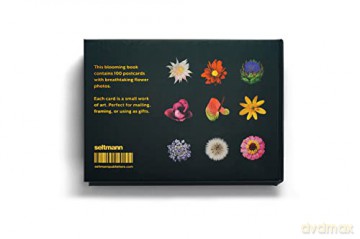 The Blooming Book - Nicolas M Riel [KSIĄŻKA]