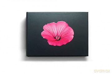 The Blooming Book - Nicolas M Riel [KSIĄŻKA]