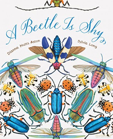 Beetle Is Shy - Dianna Hutts Aston [KSIĄŻKA]