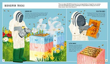 Honey Bee Young Zoologist - Patrick Taylor [KSIĄŻKA]