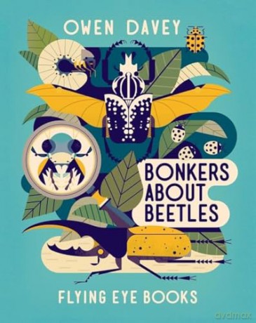 Bonkers About Beetles - Owen Davey [KSIĄŻKA]