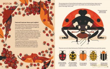 Bonkers About Beetles - Owen Davey [KSIĄŻKA]