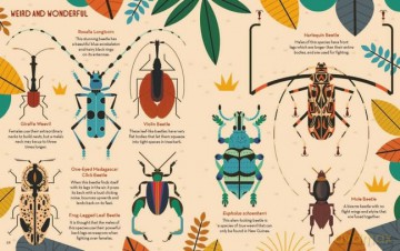 Bonkers About Beetles - Owen Davey [KSIĄŻKA]