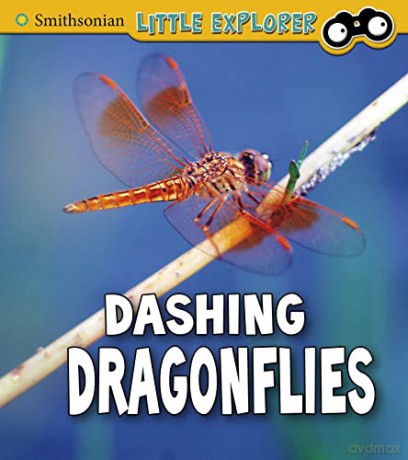 Dashing Dragonflies - Megan Cool Peterson [KSIĄŻKA]