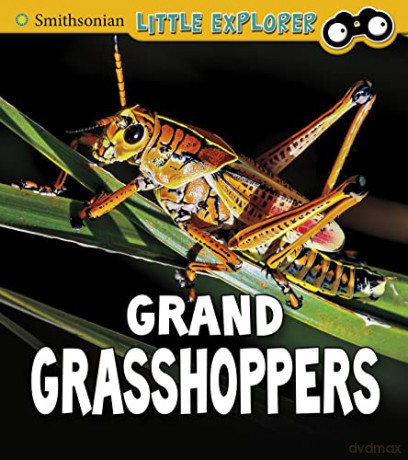 Grand Grasshoppers - Megan Cool Peterson [KSIĄŻKA]