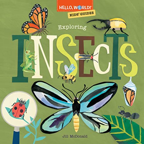 Hello World Kids Guides Exploring Insect - Jill Mcdonald [KSIĄŻKA]
