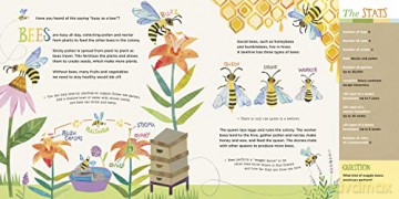 Hello World Kids Guides Exploring Insect - Jill Mcdonald [KSIĄŻKA]