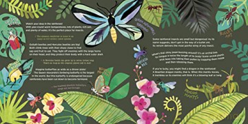 Hello World Kids Guides Exploring Insect - Jill Mcdonald [KSIĄŻKA]
