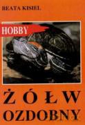 Żółw ozdobny 2 - Kisiel Beata [KSIĄŻKA]