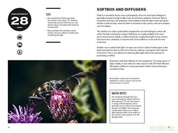 52 Assignments Macro Photography - David Taylor [KSIĄŻKA]