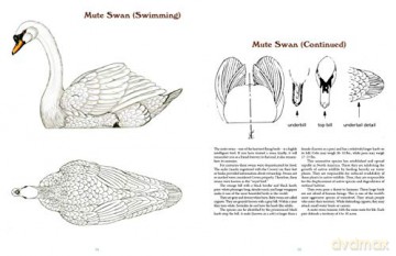 50 Bird Woodcarving Patterns - Frank C. Russell [KSIĄŻKA]