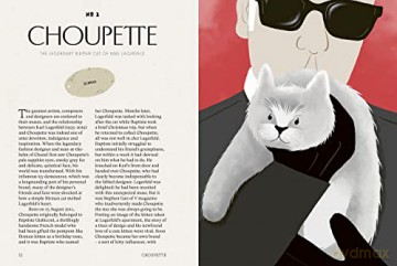 Cats Who Changed The World - Dan Jones [KSIĄŻKA]