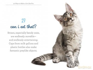 97 Ways To Make A Cat Like You - Carol Kaufman [KSIĄŻKA]