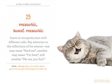 97 Ways To Make A Cat Like You - Carol Kaufman [KSIĄŻKA]