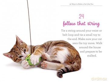 97 Ways To Make A Cat Like You - Carol Kaufman [KSIĄŻKA]