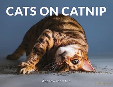 Cats On Catnip - Andrew Marttila [KSIĄŻKA]