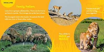 Go Wild Lions - Margie Markarian [KSIĄŻKA]