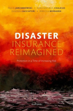Disaster Insurance Reimagined Protection - Paula Jarzabkowski [KSIĄŻKA]