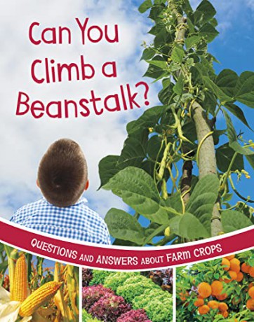 Can You Climb A Beanstalk - Katherine Rawson [KSIĄŻKA]